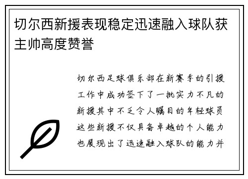切尔西新援表现稳定迅速融入球队获主帅高度赞誉